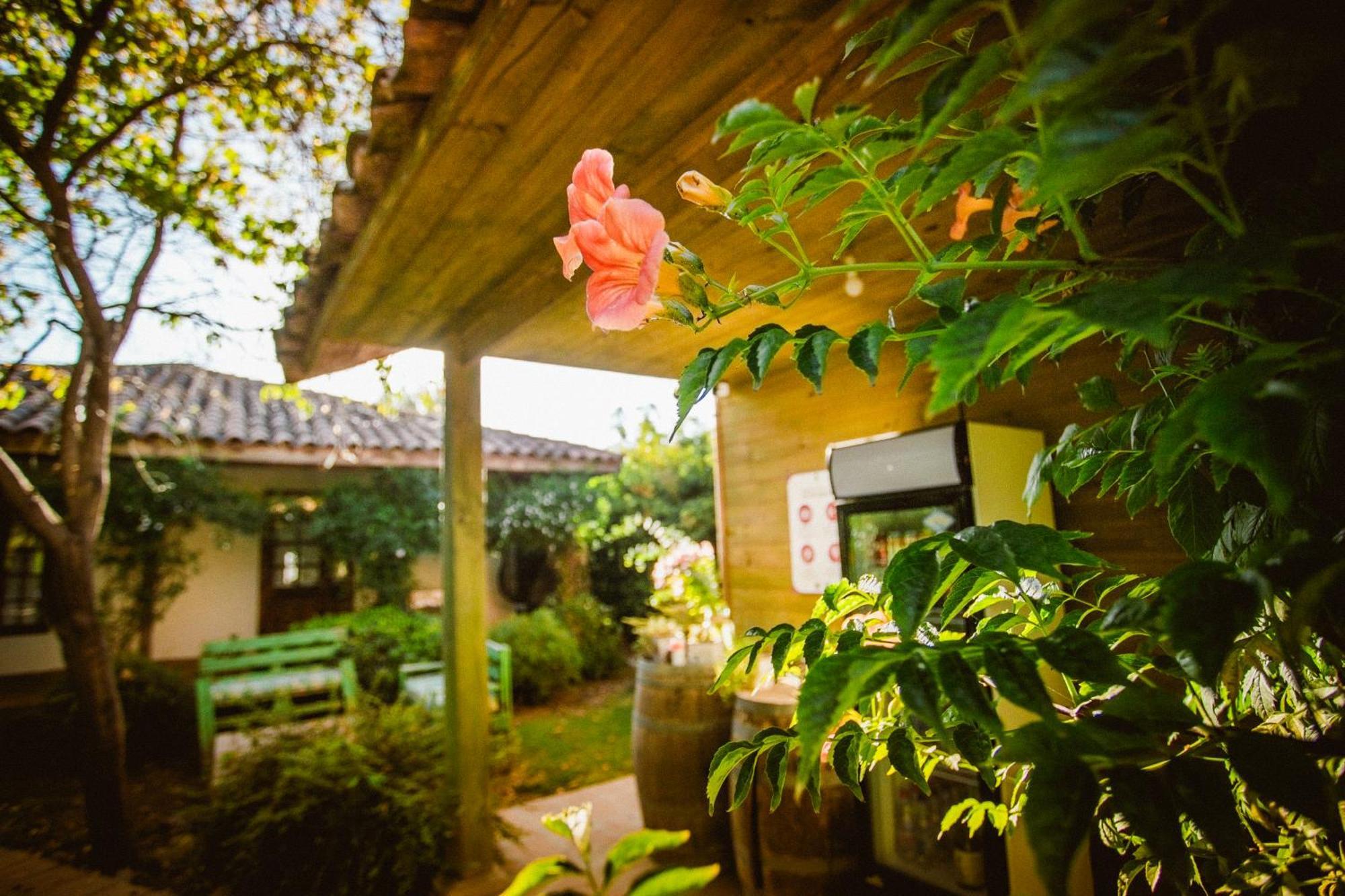 Hotel Hoja De Parra Santa Cruz Ngoại thất bức ảnh